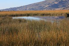719-Puno,lago Titicaca,13 luglio 2013